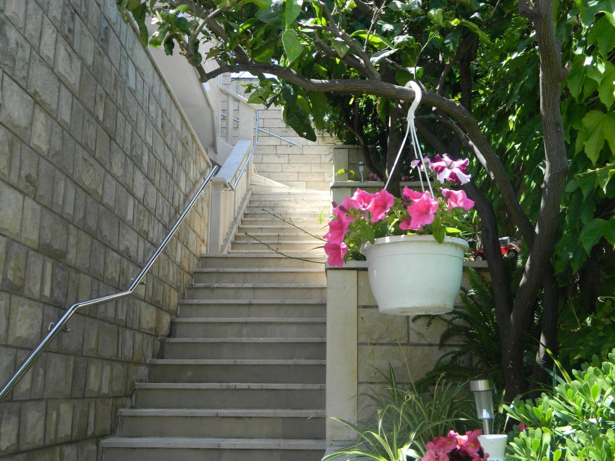 Brunor * Dubrovník