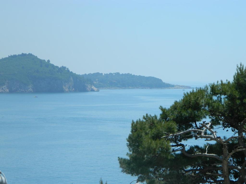 Brunor * Ragusa