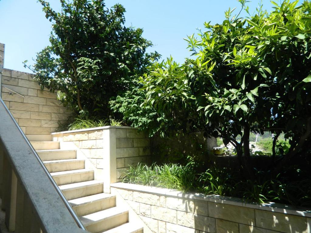Apartament Brunor *